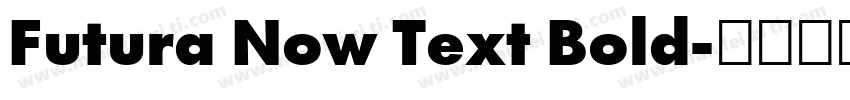 Futura Now Text Bold字体转换